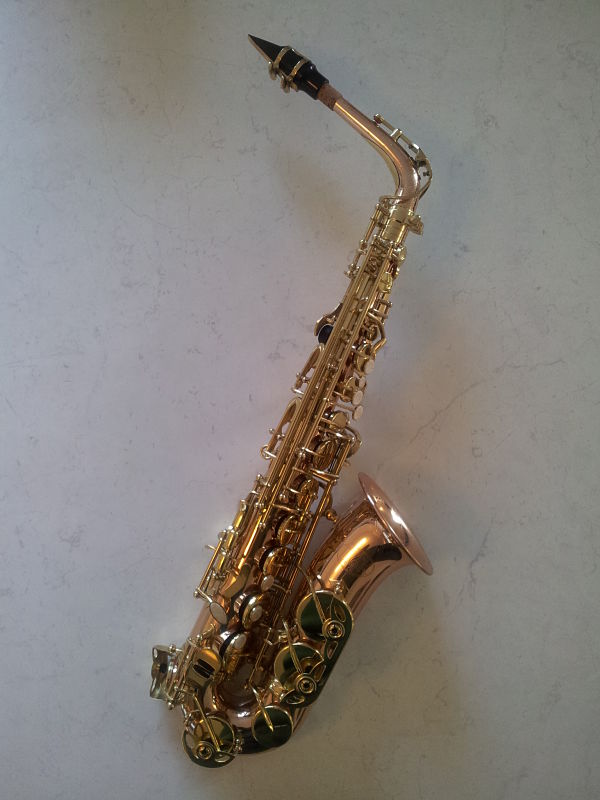 Alto Sax Intermediate Gold brass
